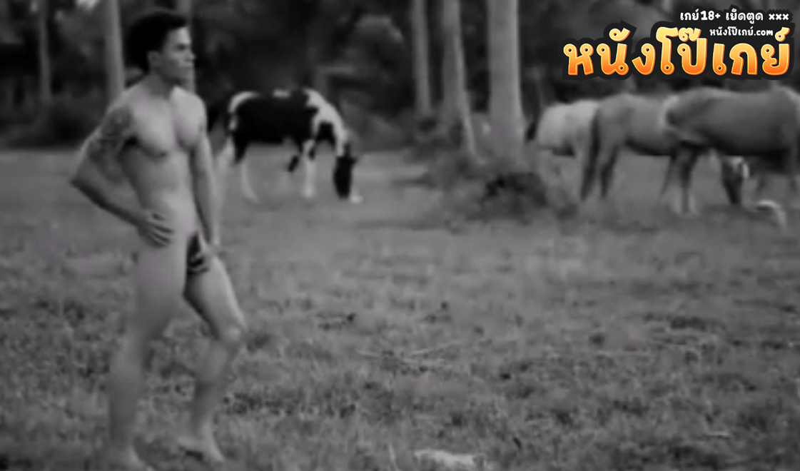 คลิปโป๊เกย์ หุบเขาไร้รัก หนังเกย์ไทยแนวคาวบอยเย็ดกับคนเลี้ยงม้าในฟาร์มม้า