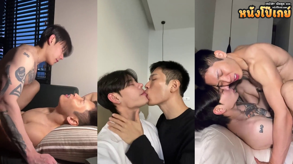 คลิปโป๊เกย์ เกย์ไทยหล่อหน้าตาโคตรดีเลยแบบหล่อชิบหายวัวตายควายล้ม เย็ดกันนัวดูดปากฟิลแฟนชิบหายซอยจนน้ำควยพุ่งคารูตูด