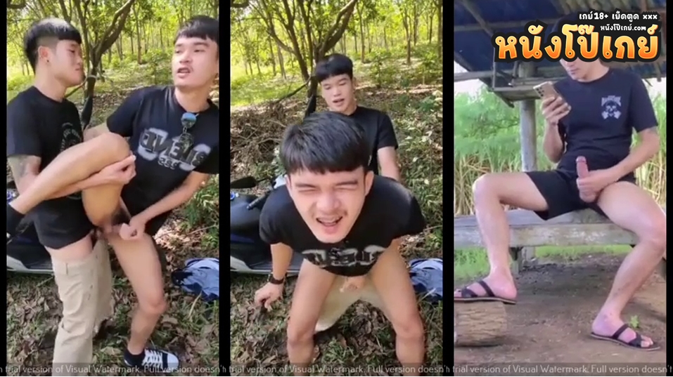 คลิปโป๊เกย์ไทย หนุ่มชายแท้อยากโดนเปิดซิงตูดบ้าง เลยนัดเพื่อนสมัยเรียนมาเย็ดตูดกลางป่าแบบเอ้าท์ดอร์มันส์ๆ