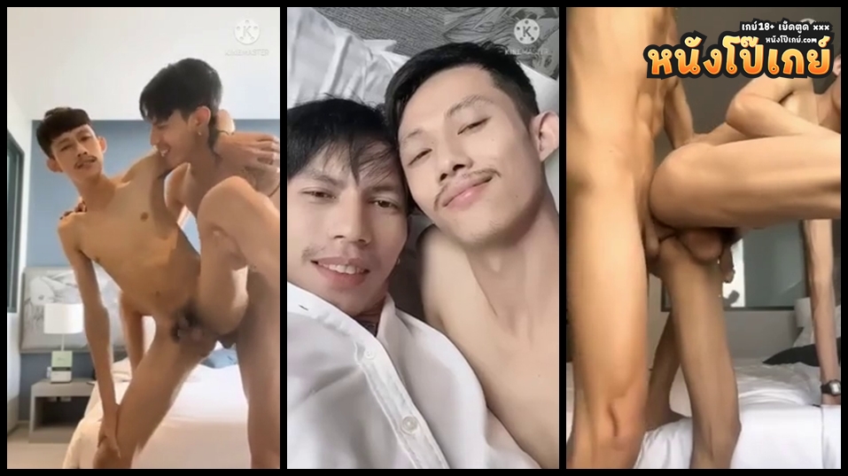 คลิปโป๊เกย์ คู่รักเกย์ไทยตั้งกล้องถ่ายคลิปเย็ดตูดกันสดๆ ตอกกันเสียวๆโคตรมันส์ 18+
