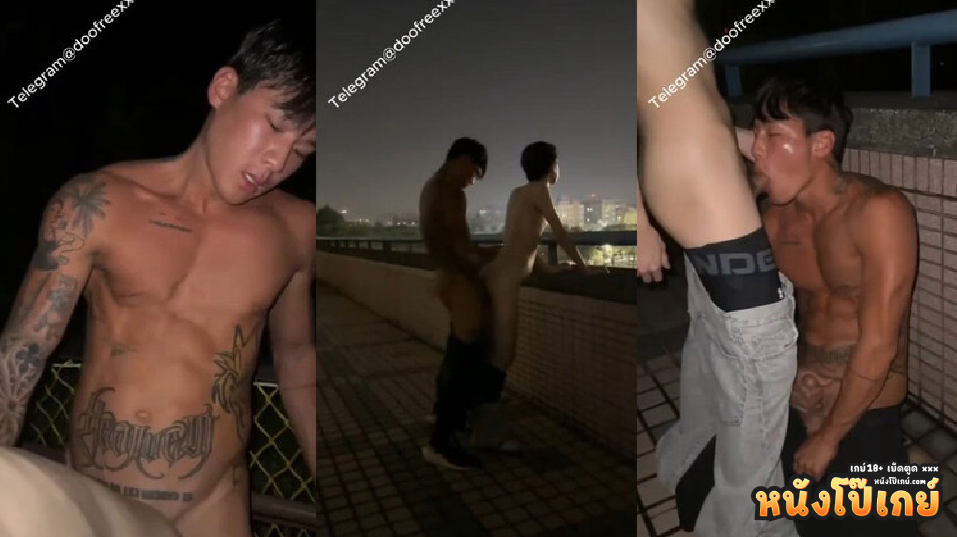 คลิปโป๊เกย์ หนุ่มสักลายพาหน่มตี๋มาเย็ดให้แสบๆตูดตอนแรกก็โม๊กควยเล้าโลมกันอยู่ดีๆไปๆมาๆพามาแทงตูดกันข้างนอกซะงั้นไม่กลัวคนเห็นเหรอ