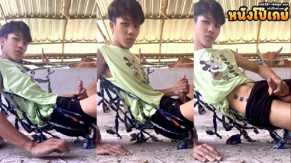 คลิปโป๊เกย์ Onlyfans khunsong0310 เอสคูณสองมาชักว่าวในคอกวัวดูเหมือนพี่วัวจะแอบมองตอนน้ำแตกมั้ย